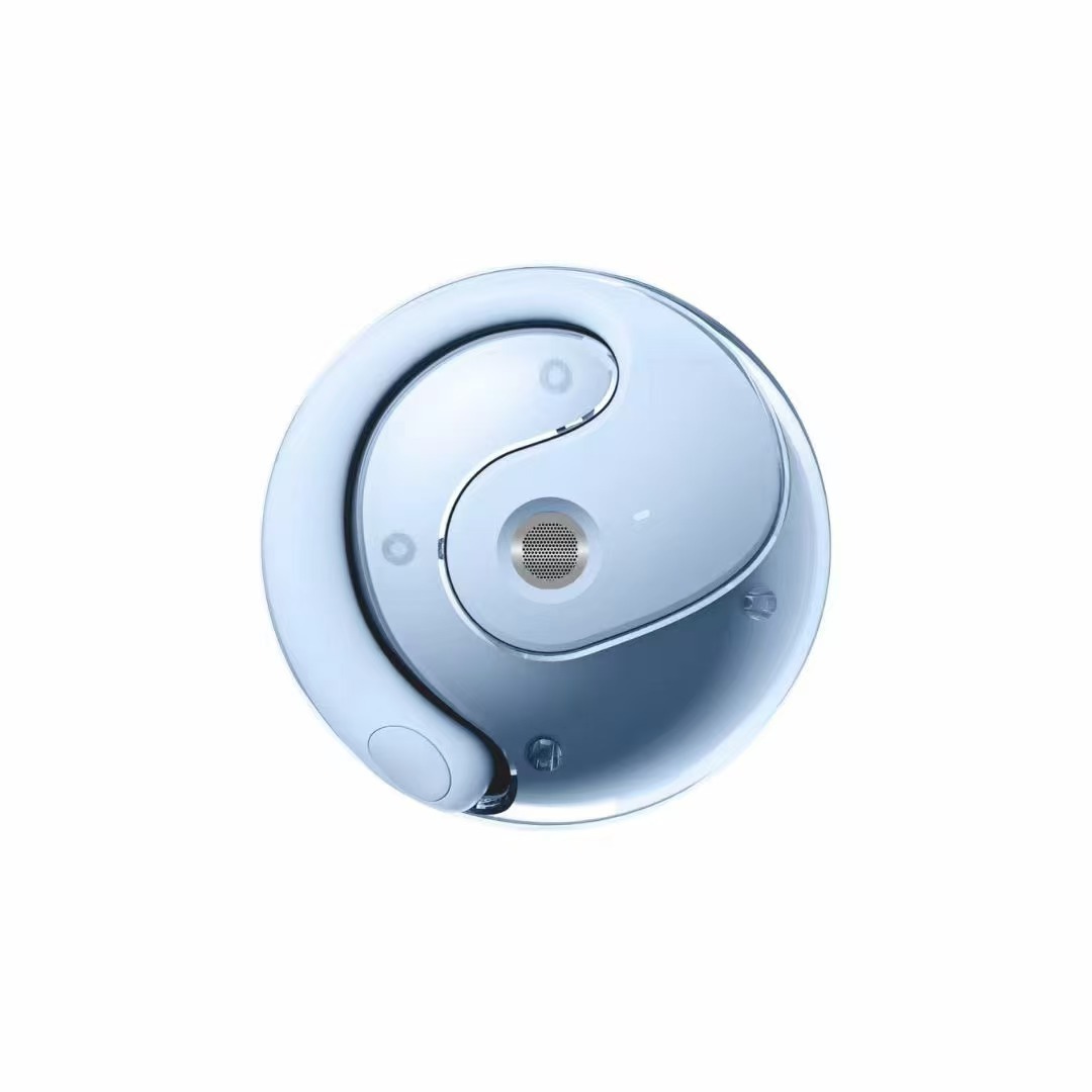 Language Translator Earbuds